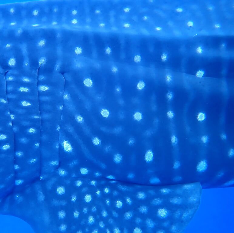 c2fa8611-e5df-4da1-b6c8-f2e14643a096