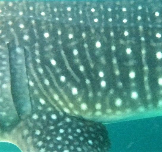 c57cda8f-9a94-4b24-b03a-4e1c16a224d9