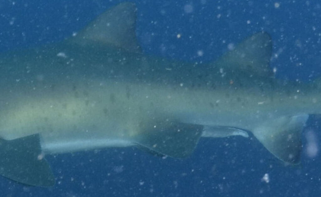 66910f44-1328-4c8f-b94e-2cb114af757b