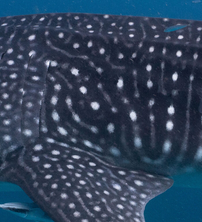 f5e52631-b895-495e-9e3f-41cfee01ed3b