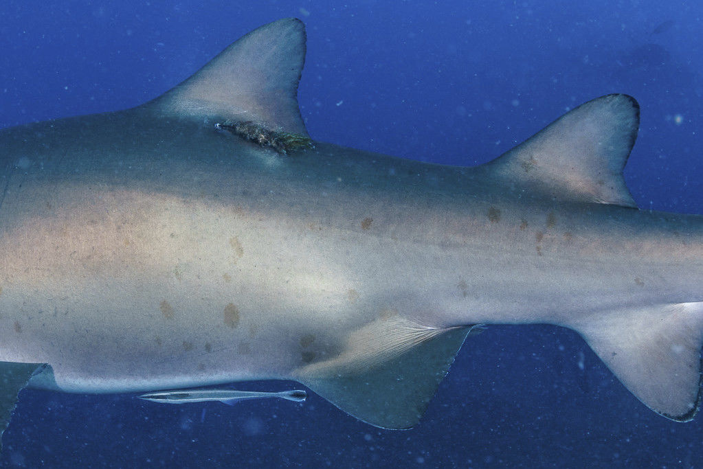 9b8a010b-0e37-4dc9-9a6b-73bfd0e7a2e8