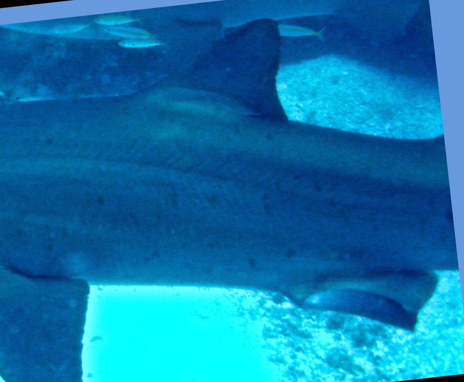 e165e5b3-3a4d-42de-9c3f-b1561bdd49ef