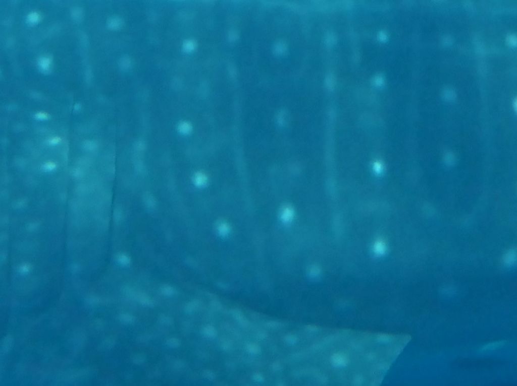 73be617f-45c5-46a8-a18c-5b79fee214b4