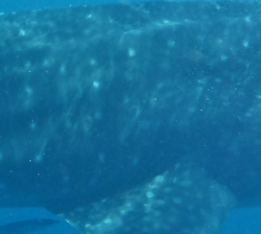 73be617f-45c5-46a8-a18c-5b79fee214b4