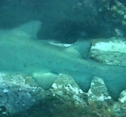 1bc1c3fe-ca86-404f-a713-ec2abfca5027