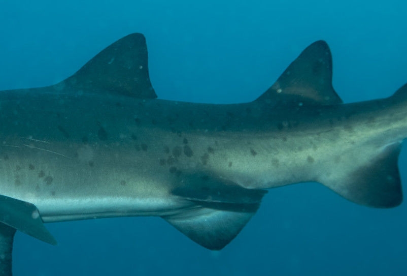 de289851-66b0-4ec2-ab5b-c9ea89e0640c