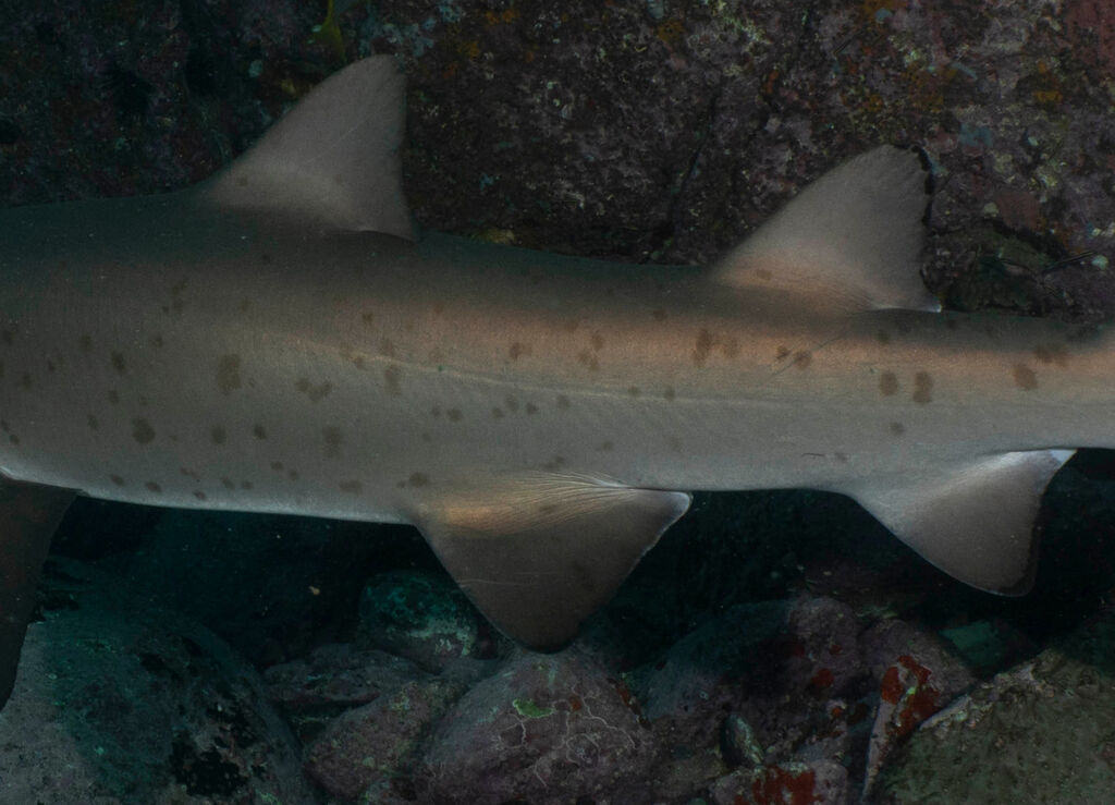 5c4e2987-4485-496a-898d-0bab21c6b8f5