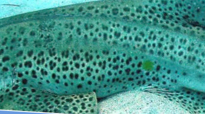 4bf8b1b9-a25d-464c-ac31-92f7dfba9005