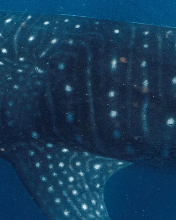 c7d36706-b3f6-4cf9-a821-425b0997a553