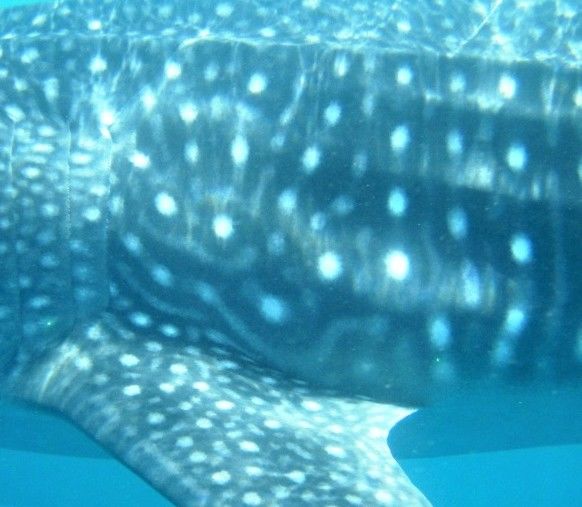 95b89793-d652-4598-9d6b-b301ed1a2a6f