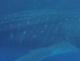 df3c3b72-2562-49c4-8f65-1f08908609ab