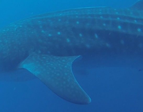 df3c3b72-2562-49c4-8f65-1f08908609ab