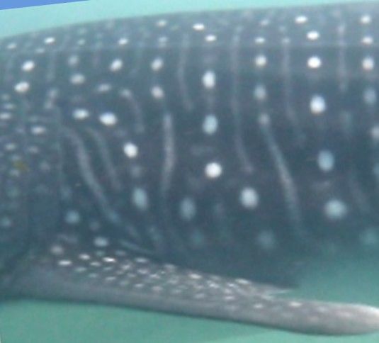 d3985119-36a9-47c7-9d99-8e09bc1d786e