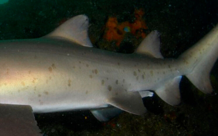 6d42a53e-dd0c-4bb0-80e8-0e9165f9ad7b