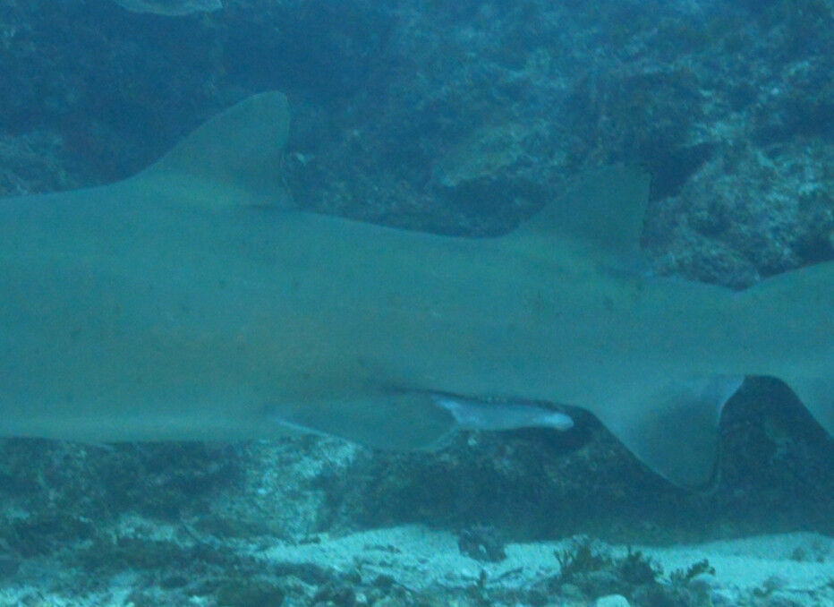 1fa051fd-0834-4f8f-b404-b950413a858e