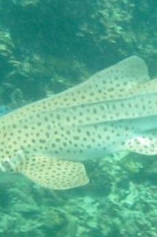 28443df7-5b93-425d-92d4-64887358b81a