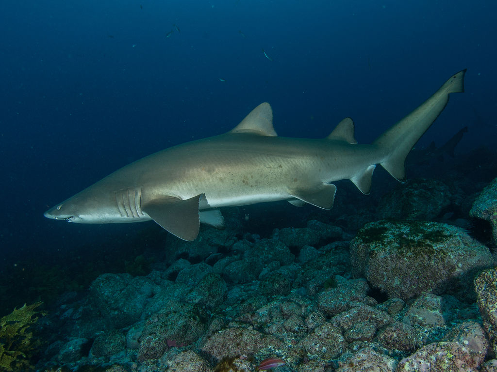 7f9294f4-d436-440e-8c96-7e241e37fc2f