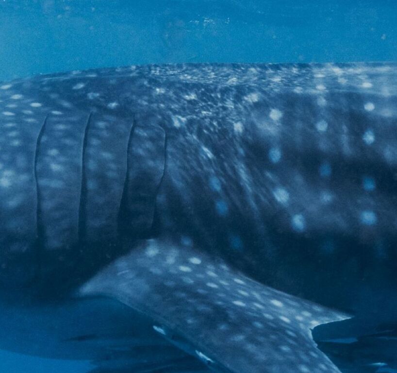 7e2df7e5-3368-404a-b8ac-698b5fc892ac