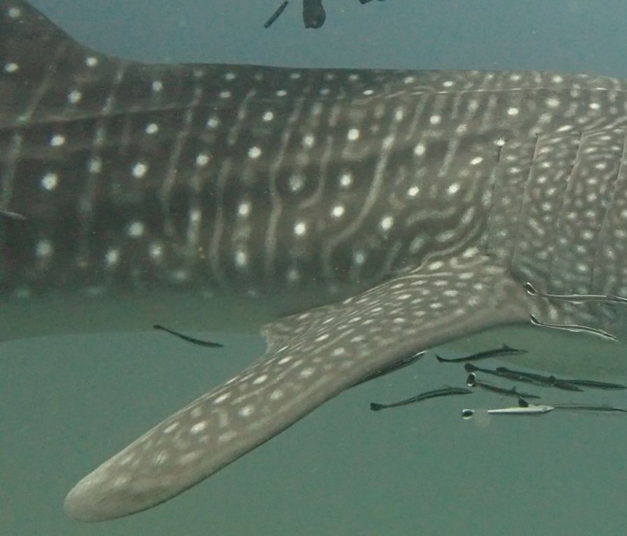 12bffd3c-a37f-4b72-8aba-c2180d937cd1