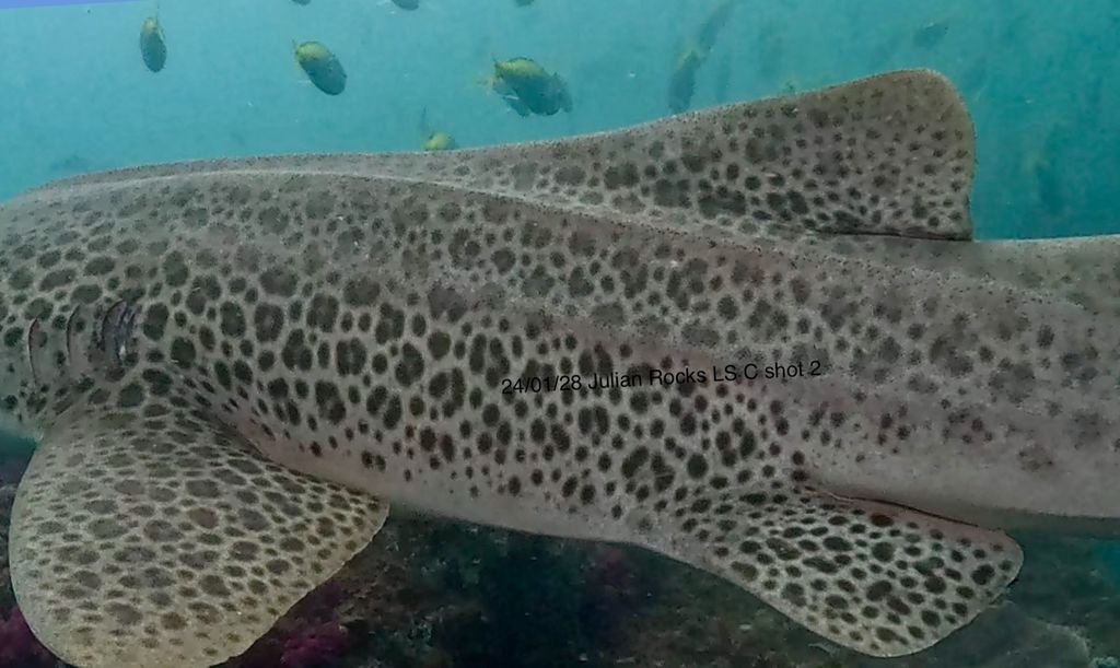 0fe94eda-f944-4ac2-b006-76e240ac5079