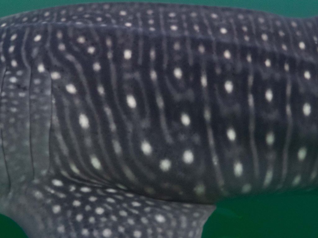 3102879b-a71b-4cd7-a2a6-fc49aa62c365