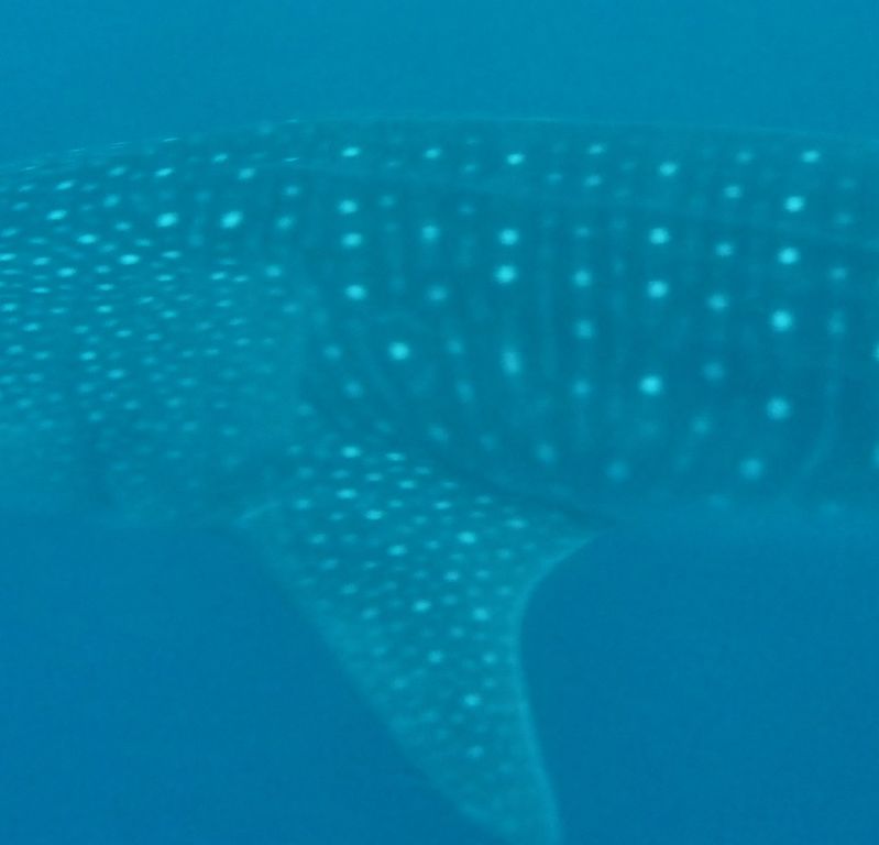 a18178b6-757f-4230-a56c-7336feacb819