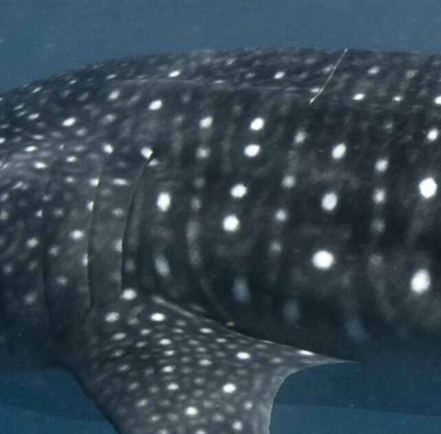 2fd1a807-2a2d-4911-aa66-ac3e27d8f379