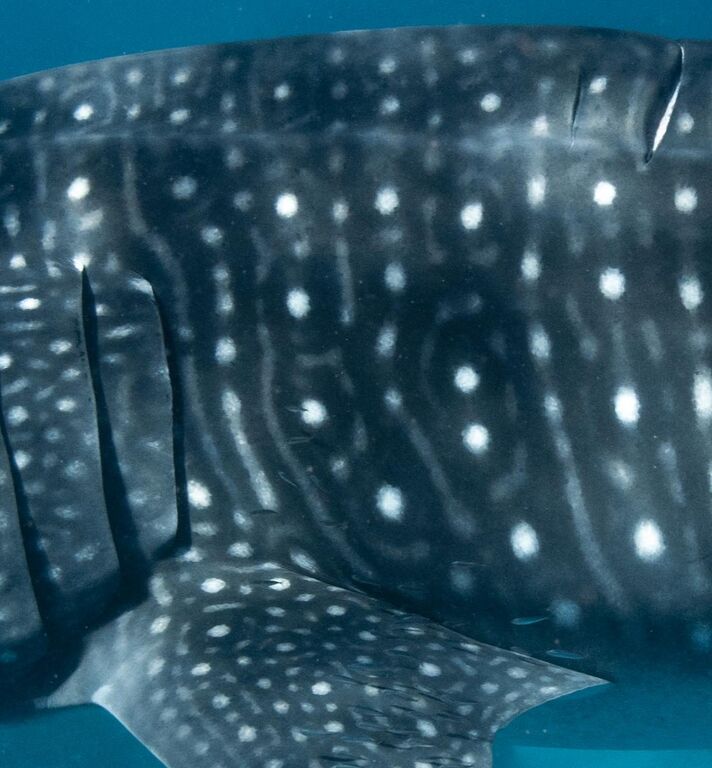 b637452a-facb-4b4e-bfe3-b9c2bbcddde7