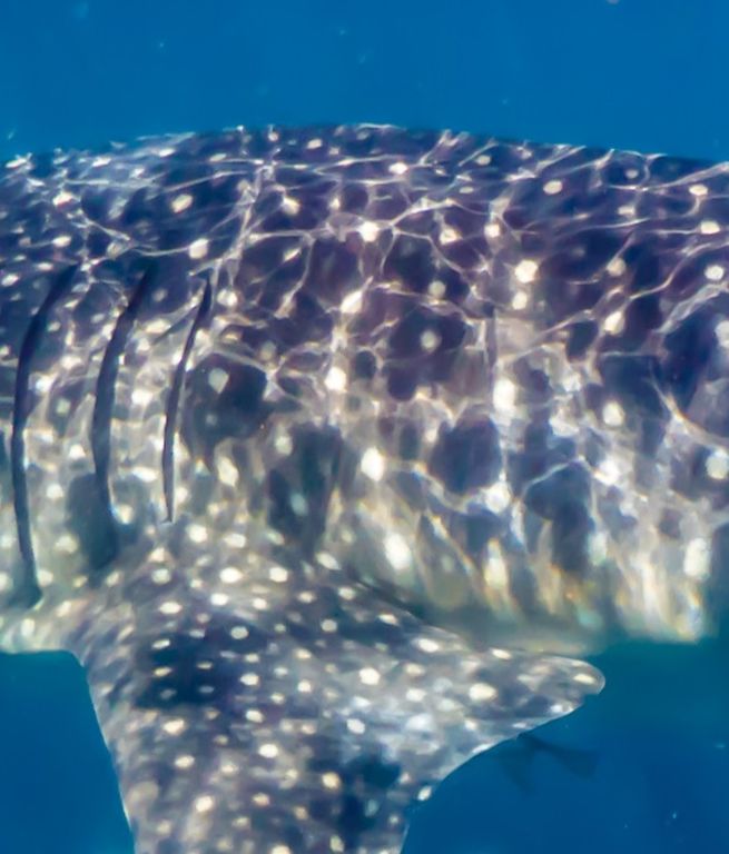 5f475aaa-c687-494b-8a22-b78f4680ea59