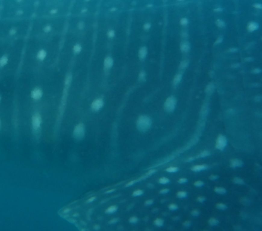 2b2bc93c-1c1c-4f0c-88e4-19005e1b7d7b