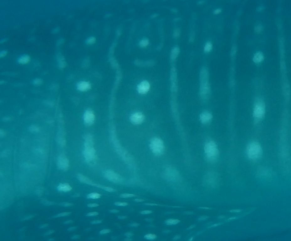 2b2bc93c-1c1c-4f0c-88e4-19005e1b7d7b