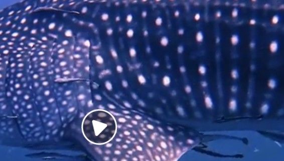 b71ff7b2-adfb-4a16-bfb3-6b3cbe07243f