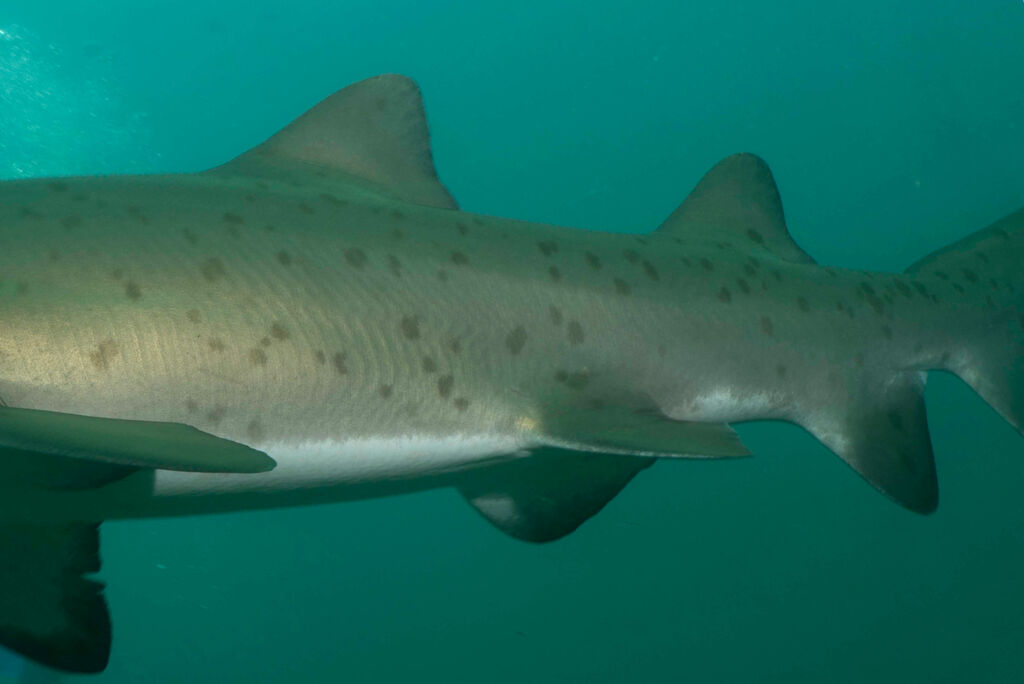 6ef87c3e-23d7-4b95-b8e2-eb48b7634623