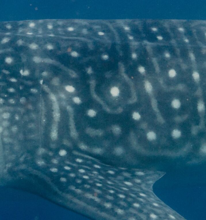 434ea9d5-d2a3-4e67-be3f-181f954261e5