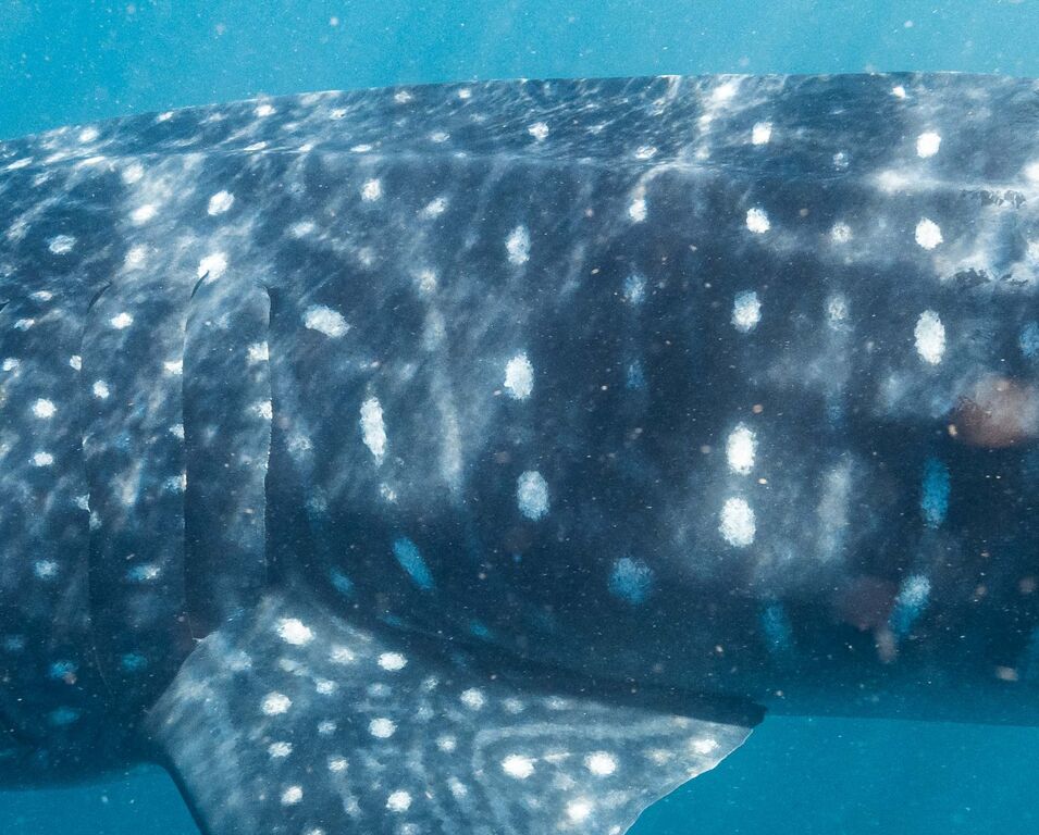 79c15306-ec71-49bd-88cb-d09dbecd9e9e