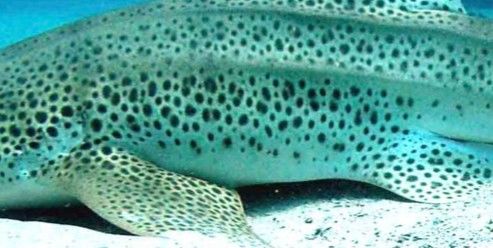 883bbe3c-0817-4ea9-9d56-16ba52d19379