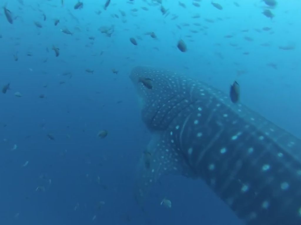 be3aec8d-0c37-4f73-9aa7-6b006abb8007