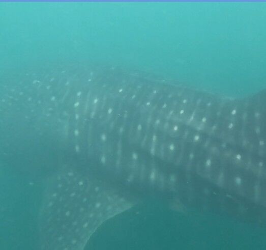 92e67c96-22a5-48f5-9af0-a4dd90767bdf