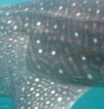 d7f2b805-d797-4907-836e-0962ddb81261