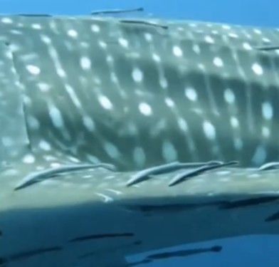 ce62077f-7269-44bc-baa9-6869d7c3e313