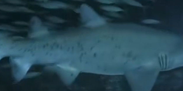 d7b2e744-9d3d-4827-bd7f-5e7e2215453f