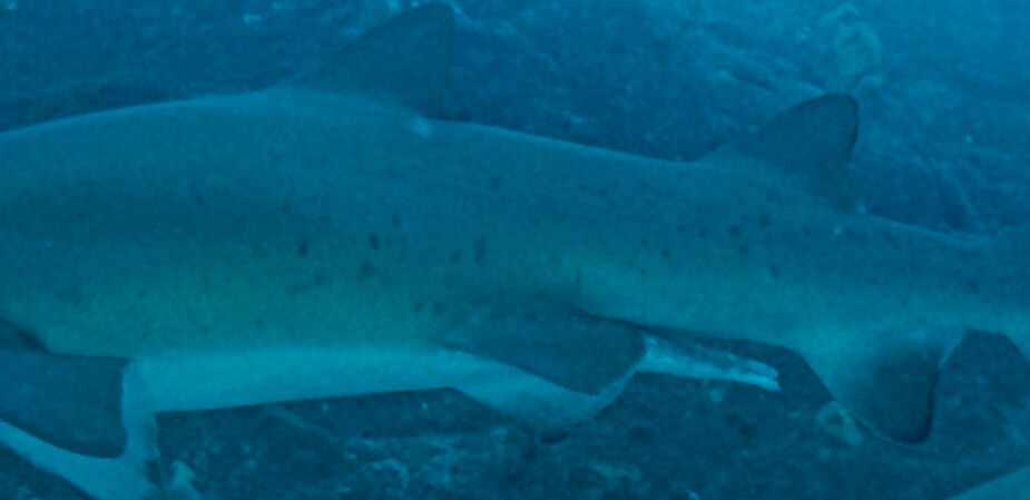 663cc9a2-7d8f-41f6-9d29-fae6622c0713