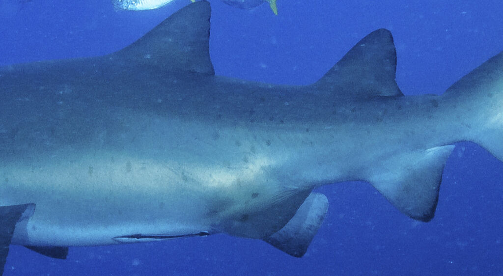 2b7fb509-f4a9-420a-99be-afbd1fb779ea