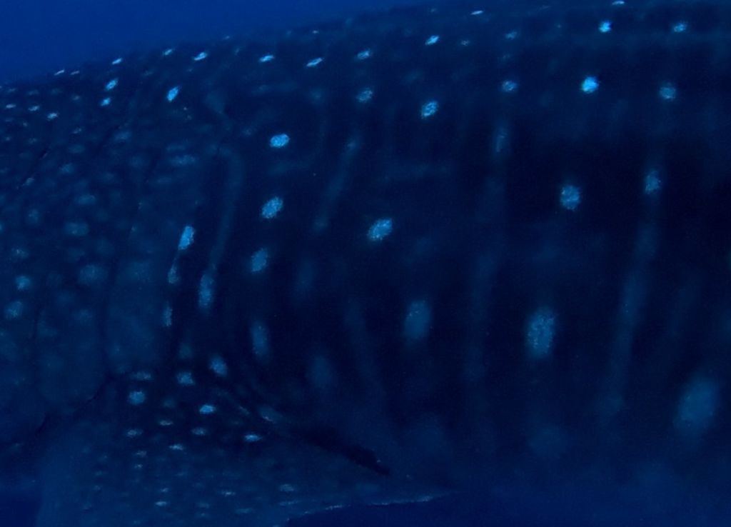 4b809364-25d8-42fa-b243-d3b1c3ce1c90