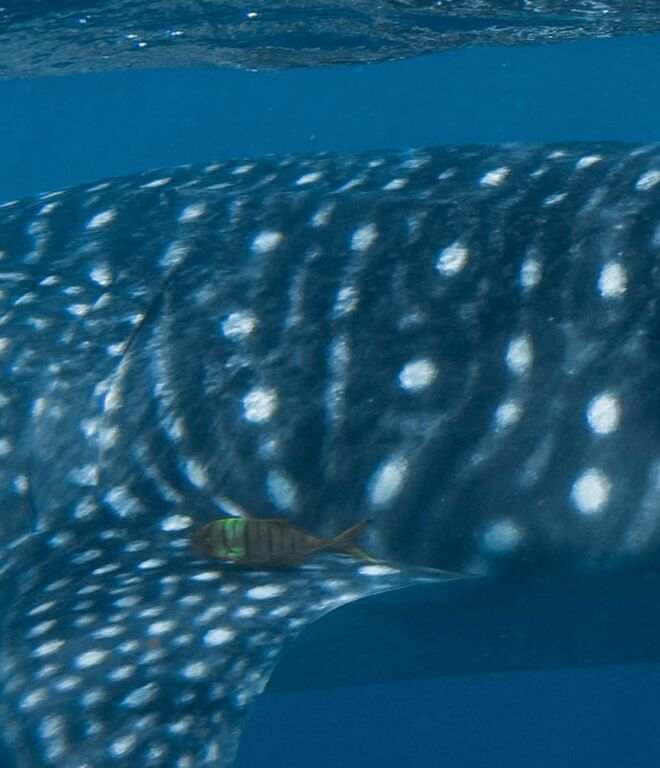 45a5c368-869e-4bcb-b39c-af2582b33640