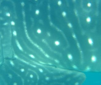 cb0d4281-dff9-47db-8f8a-69de20847e58