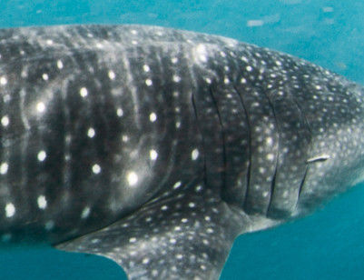 06cd2271-cb7b-4f5e-976a-f215a9ef7d36