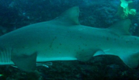 39142d4b-8827-47df-b830-6f7c2959846d