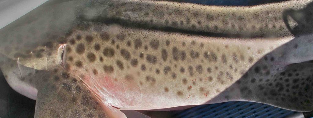 b484bbcb-3d05-4d9b-94bf-a09d58636758