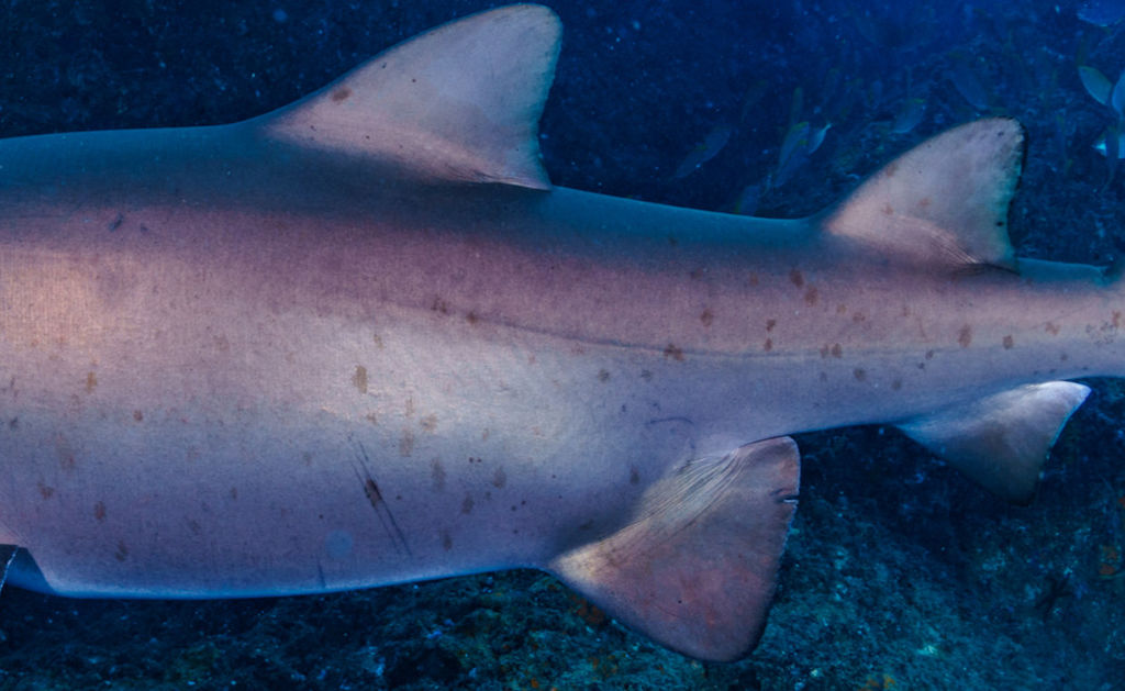 72217ea3-4a96-43d4-84df-198fd8acb00e